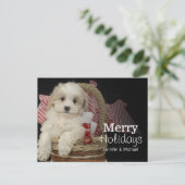 Cristmas Malti-poo puppy sitting in basketbal Feestdagenkaart (Staand voorkant)