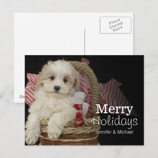 Cristmas Malti-poo puppy sitting in basketbal Feestdagenkaart (Voorkant / Achterkant)