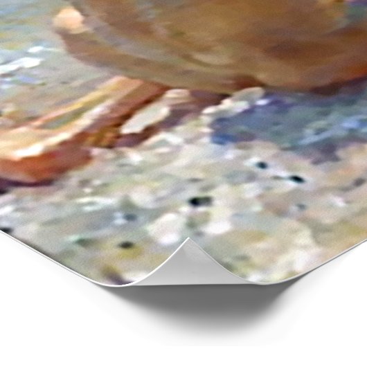 Critici Poster (Hoek)