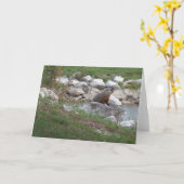 Critter bij het meer kaart (Gele Bloem)