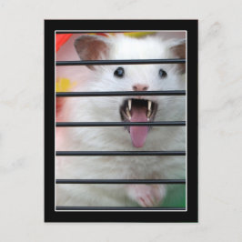 Critter is een gemiddelde hamster briefkaart