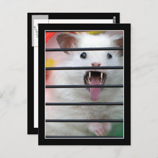 Critter is een gemiddelde hamster briefkaart (Voorkant / Achterkant)