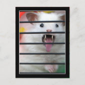 Critter is een gemiddelde hamster briefkaart (Voorkant)