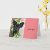 Critter Sitter LV LAGUNA Kaart (Gele Bloem)