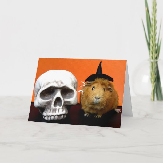 Critter van de Nacht Feestdagen Kaart (Voorkant)