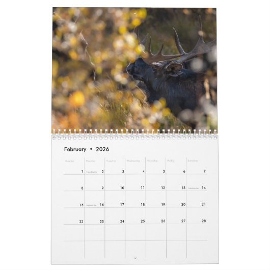 Critters die we zien  kalender (Feb 2026)