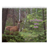 Critters die we zien  kalender (Hoes)