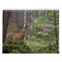 Critters die we zien