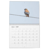 Critters die we zien  kalender (Mar 2027)