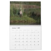 Critters die we zien  kalender (Jan 2027)