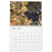 Critters die we zien  kalender (Feb 2027)