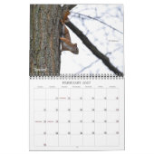 Critters Galore. Kalender (Feb 2027)