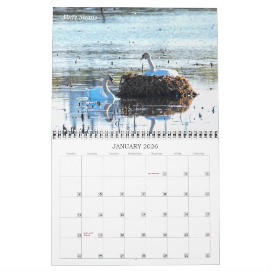 Critters Galore. Kalender (Jan 2026)