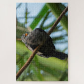 Croaking Ground Dove Legpuzzel (Verticaal)