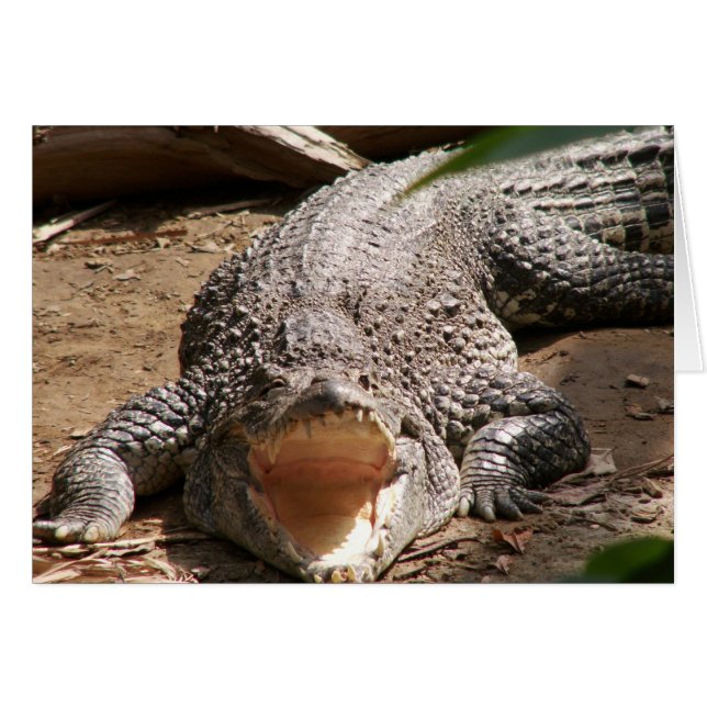 Croc Smile (Voorkant Horizontaal)