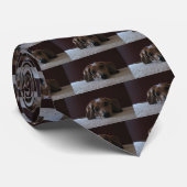 crockettsperfectiezakje, crocketsperfectiezakje, c stropdas (Opgerold)