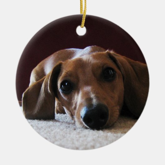 crockettsperfectipisch keramisch ornament (Voorkant)