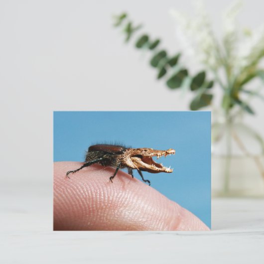 Crocobug Briefkaart (Staand voorkant)