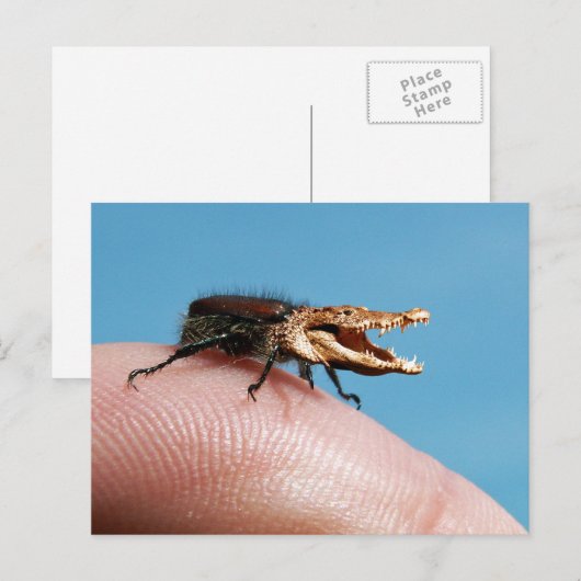 Crocobug Briefkaart (Voorkant / Achterkant)