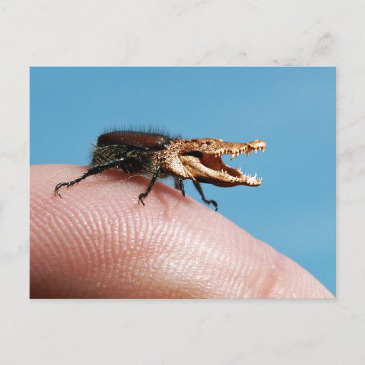 Crocobug Briefkaart (Voorkant)