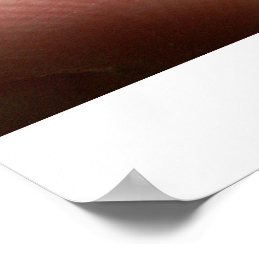 Crocobug poster (Hoek)