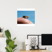 Crocobug poster (Thuiskantoor)