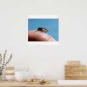 Crocobug poster (Keuken)