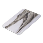 Crocodile 2005 magneet (Linkerzijde)