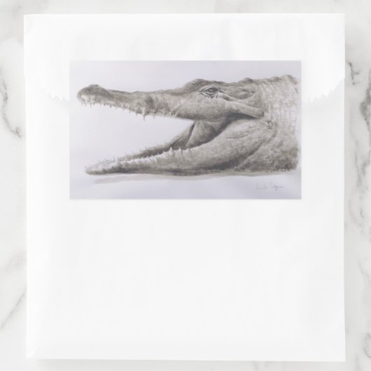 Crocodile 2005 rechthoekige sticker (Tas)