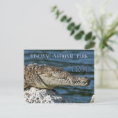 Crocodile, Biscayne National Park, Florida Briefkaart (Staand voorkant)