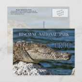 Crocodile, Biscayne National Park, Florida Briefkaart (Voorkant / Achterkant)
