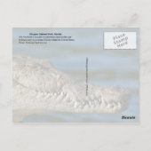 Crocodile, Biscayne National Park, Florida Briefkaart (Achterkant)