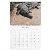Crocodile Calendar Kalender (Mar 2027)