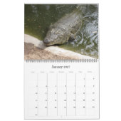 Crocodile Calendar Kalender (Jan 2027)