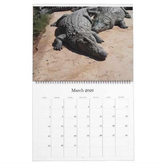 Crocodile Calendar Kalender (Mar 2026)