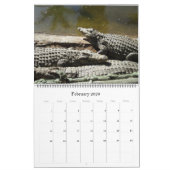Crocodile Calendar Kalender (Feb 2026)