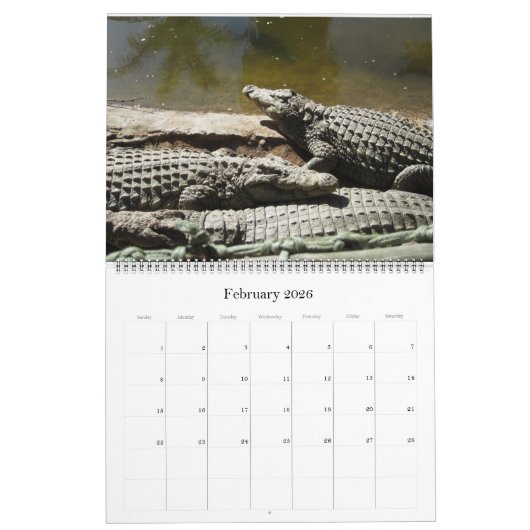 Crocodile Calendar Kalender (Feb 2026)
