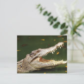 Crocodile en Caiman van Junglewalk.com Briefkaart (Staand voorkant)