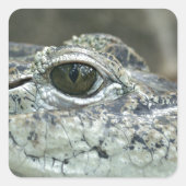 Crocodile Eye Sticker (Voorkant)