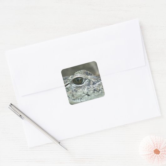 Crocodile Eye Sticker (Envelop)