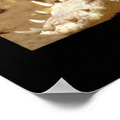 crocodile Jaws van JungleWalk.com Poster (Hoek)