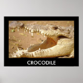 crocodile Jaws van JungleWalk.com Poster (Voorkant)
