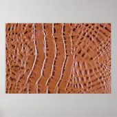 Crocodile leather textured backgroundabstract, ani poster (Voorkant)