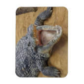 Crocodile met Jaws Wide Open Close-up Magneet (Verticaal)