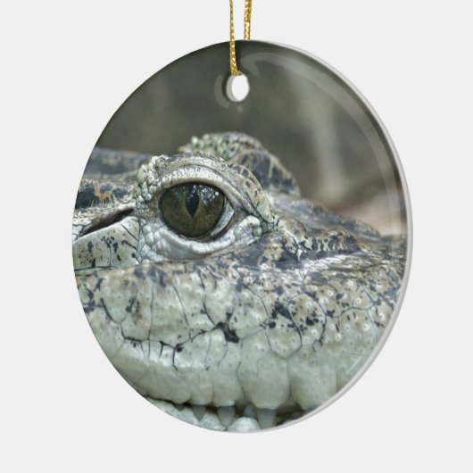 Crocodile Smile Ornament (Links)