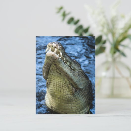 Crocodile Teeth Water Briefkaart (Staand voorkant)
