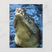Crocodile Teeth Water Briefkaart (Voorkant)