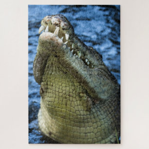 Crocodile Teeth Water Legpuzzel