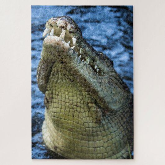 Crocodile Teeth Water Legpuzzel (Verticaal)