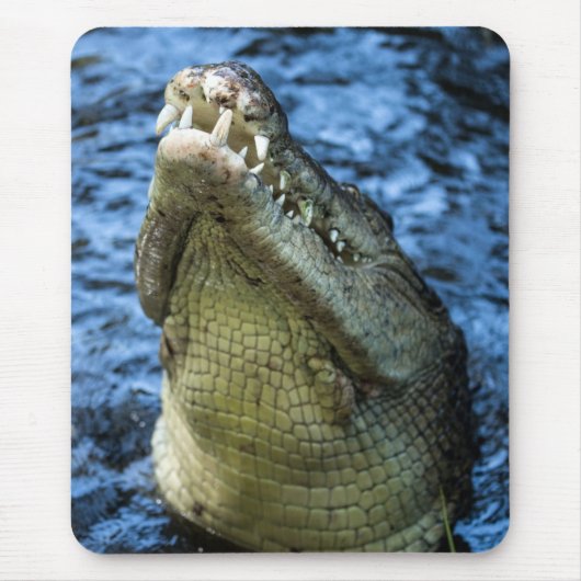 Crocodile Teeth Water Muismat (Voorkant)